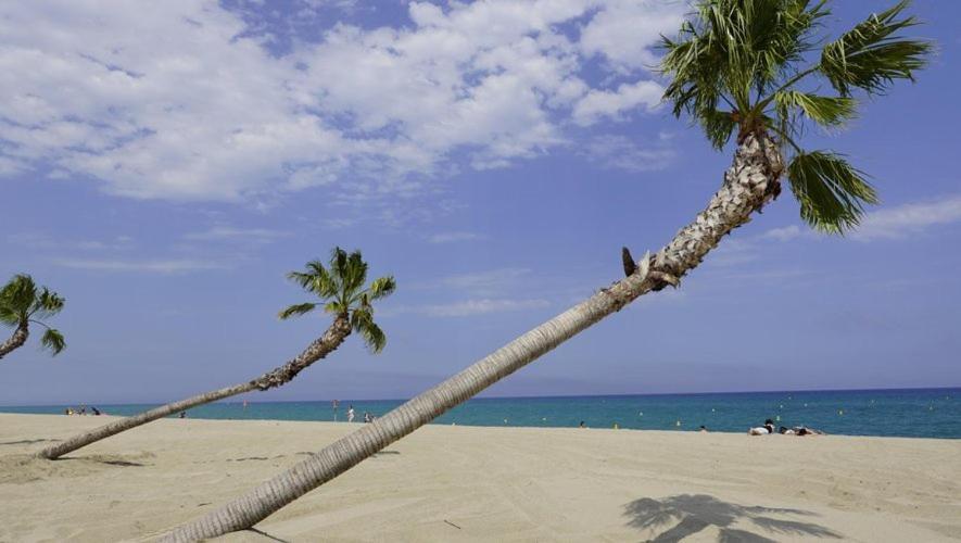 Maison Plein Pied Proximite Plage Et Commerce - 5Sir33 Villa Le Barcarès Exteriör bild