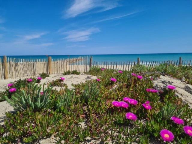 Maison Plein Pied Proximite Plage Et Commerce - 5Sir33 Villa Le Barcarès Exteriör bild